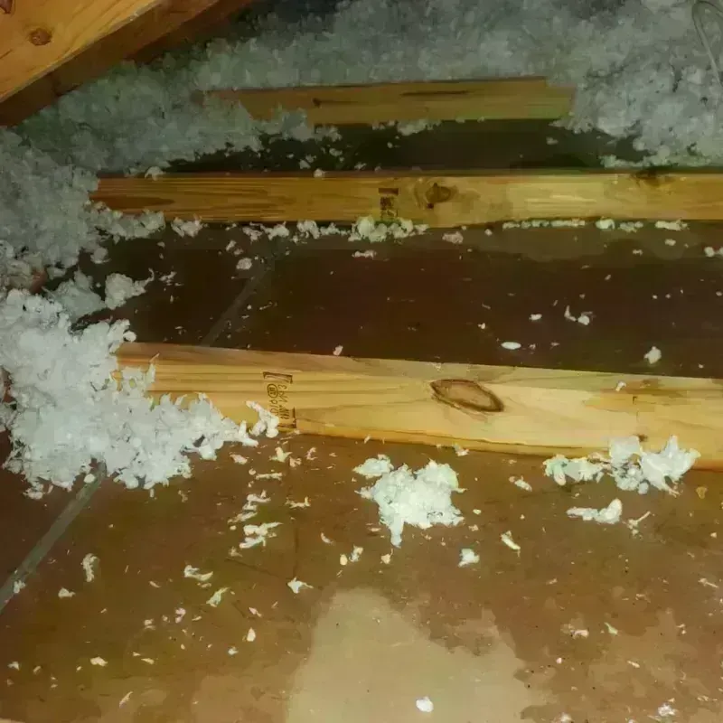 Attic Water Damage in Douglas County, WA