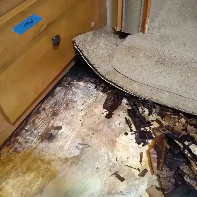 Wood Floor Water Damage in Douglas County, WA